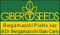 BERGAMASCHI PIETRO SAS - GIBERSEEDS - PIACENZA - PC