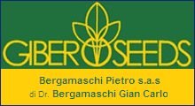 BERGAMASCHI PIETRO SAS - GIBERSEEDS - PIACENZA - PC