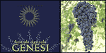 AZIENDA AGRICOLA GENESI