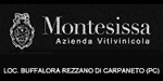 AZIENDA VITIVINICOLA MONTESISSA FRANCESCO - LOC. BUFFALORA REZZANO DI CARPANETO - PC